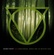 Skinny Puppy- Live [Bootlegged, Broke and in Solvent Seas]